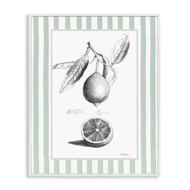 Imagem de Stupell Industries Design de arte giclée emoldurado branco com borda listrada cítrica vintage por Lettered and Lined, 50 x 40 cm