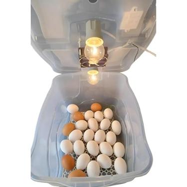 Imagem de Chocadeira Pet Com 2 Lâmpadas Incandescente Para 30 Ovos Com Termostato e Cooler