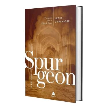 Imagem de Jesus, o Salvador - 12 Sermões Sobre o Filho de Deus
