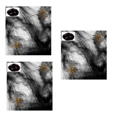 Imagem de Kit C/ 3 Teias De Aranha Fake Decorativo Preto E 12 Mini Aranhas Cobre Até 2,00 Cada Decoração Festas Halloween Eventos