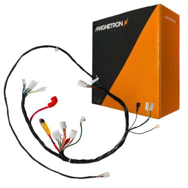 Imagem de Fiação Principal Biz100 Es 1998 A 2001 Magnetron