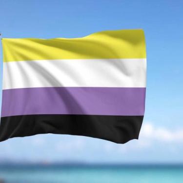 Imagem de Bandeira Gênero Não Binário 1,50x0,90mt Lgbtqi+ 2023 - WCAN