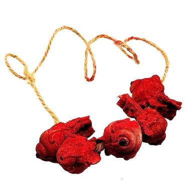 Imagem de Dzrige Bloody Severed Eyes Ripped Out Eyeball Scary Fake Eyeball Halloween Broken Body Parts Party Hanging Ornament Horror Prank Props Haunted House Decoration Supplies, 5 Eyes