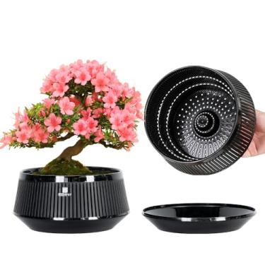 Imagem de Meshpot Vasos de bonsai de 20 cm com bandeja de drenagem e excelente fluxo de ar, conjunto de 2, vaso de árvore de bonsai de plástico com poda de ar, grande plantador de bonsai para plantas de