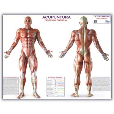 Imagem de Mapa Gigante: Acupuntura Rotas Da Energia - Anatomia Enfermagem E Fisi