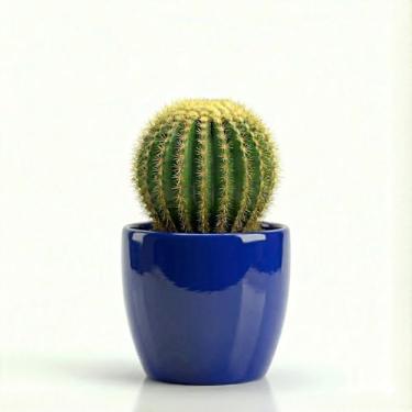 Imagem de Genérico, Jardineira Oval de Metal Galvanizado, Uso Interno, Tamanho M, Prata, Metal Galvanizado, Vaso de Plantas, Oval, Chão, Recipiente para Plantas, 15x12x11 cm