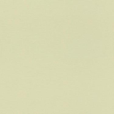 Imagem de Papel De Parede Bambino Xviii Cor única 531435 Rolo 10m X 0,53m