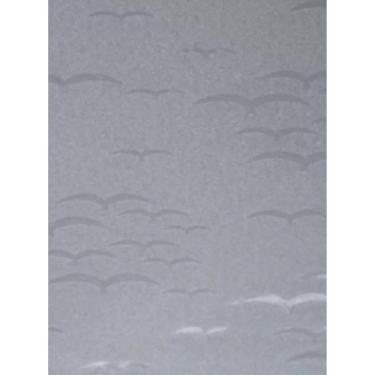 Imagem de Chapa De Acrílico Para Box E Gabinetes 90X98 Revoada Incolor