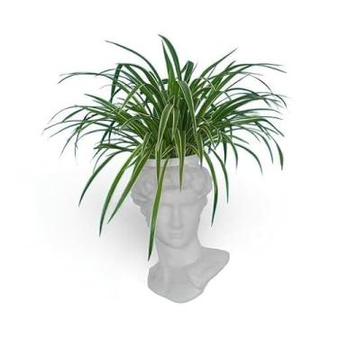 Imagem de Cachepot Escultura de Davi Michelangelo Branco