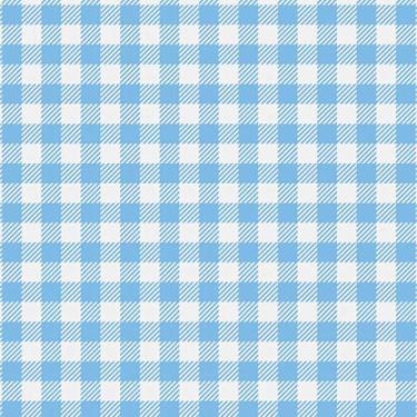 Imagem de Placa em EVA Estampado, Make +, 2 mm, Xadrez Branco e Azul, 60x40cm, Pacote com 5