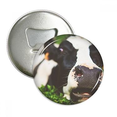 Imagem de Abridor de garrafa redondo com ímã de geladeira, organismo terrestre, animal, vaca, 3 peças, presente
