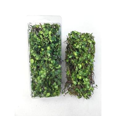 Imagem de Haivvood Kit de material de base de árvores em miniatura para plantas de videiras em miniatura realistas, folhas de simulação de folhas para trem, paisagem, ferrovia, modelagem de grama artificial