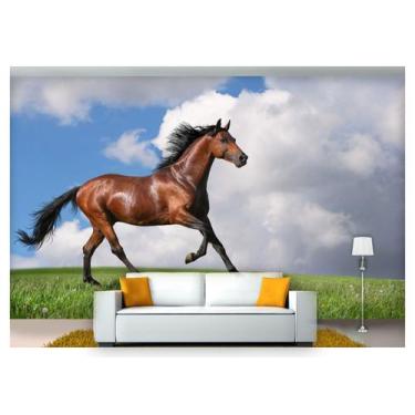 Imagem de Papel De Parede Animais Cavalo Campo Ar Livre Anm105 - Você Decora