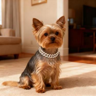 Imagem de Coleira de corrente para cães, colar de diamante cubano para animais de estimação com fivela segura, coleira de metal de cristal para cães e gatos, (ouro 25 cm)