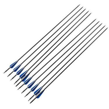 Imagem de Kit 10 Flechas Fibra De Carbono Com Ponta Azul Para Arco - Tenda Medie
