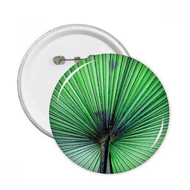 Imagem de Fotografia imagem de folhas frescas natureza pinos redondos emblema decoração de roupas 5 peças presente