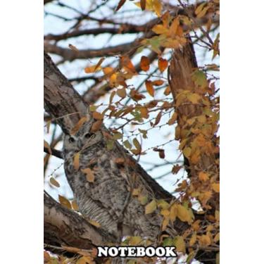 Imagem de Notebook: 2 Great Horned Owls With The Second Being Well Camoufla , Journal for Writing, College Ruled Size 6" x 9", 110 Pages