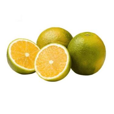 Imagem de Muda Frutífera de Laranja Parreira Enxertada - AgroJardim