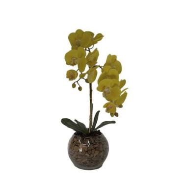 Imagem de Orquídea Amarela x2 Vaso Aquário - Biofil