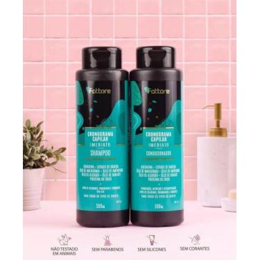 Imagem de Kit Shampoo e Condicionador Cronograma Capilar Hidratação, Nutrição e 