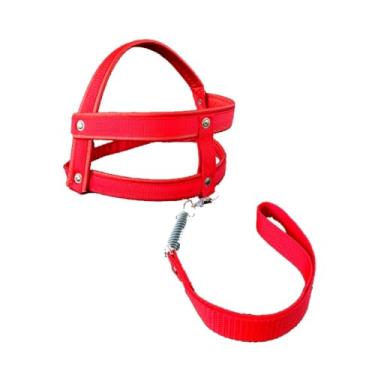 Imagem de Coleira Peitoral para Cachorro Personalizada com Nome e Telefone – Guia Anti Puxão Reforçada Roxa(PP (6kg até 10kg),Vermelho)