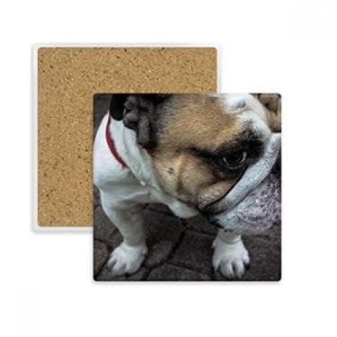 Imagem de Bulldog Pet Foto de animal de estimação Quadrado Porta-copos Caneca Suporte Subplaca Pedra de Isolamento