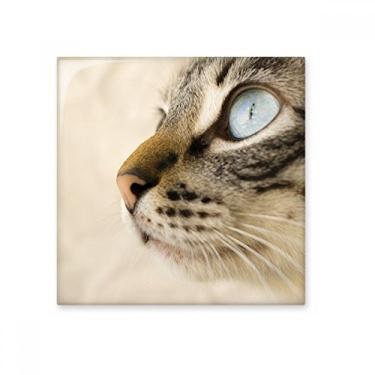 Imagem de Pedra de adorno de tijolo vitrificado com foto cinza gatinho olho azul animal