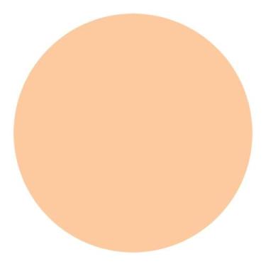 Imagem de Refil Protetor Solar Compacto UV Light Ivory Shiseido 12g - All market