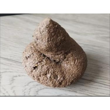 Imagem de Cocô Fake Ultra Realista para Brincadeiras - Pegadinha TIK TOK