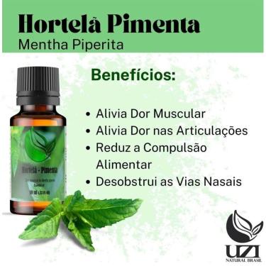 Imagem de Óleo Essencial Hortelã Com Pimenta Alivia Tensão 10 Ml
