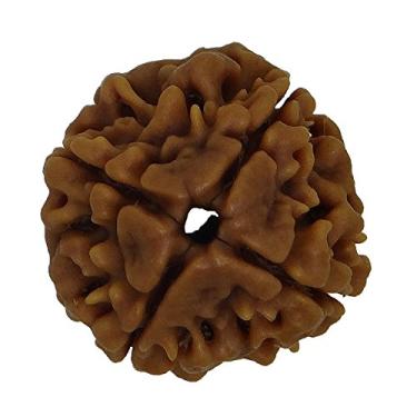 Imagem de Arihant Gems & Jewels 4 Mukhi/Faced Brahma Nepali Rudraksha 100% Natural, Original e Certificado Astrológico Redondo Rudraksha Grânulos Soltos (Elaeocarpus ganitrus) Unissex para Homens e Mulheres