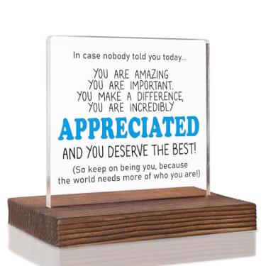 Imagem de Placa motivacional You Are Appreciated, presente de agradecimento para colegas de trabalho, professores, chefe, enfermeiros, voluntários, amigos, placa acrílica de mesa de aposentadoria com base de