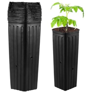 Imagem de 50 sacos de plástico para berçário, vasos quadrados altos com orifícios de drenagem, mudas e suculentas para frutas, flores, vegetais