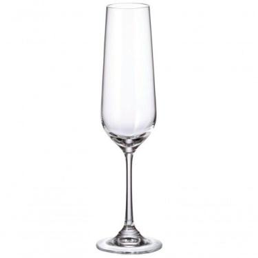 Imagem de Kit 6 Taças de Champagne Strix Cristal 200ML Transparente Full Fit