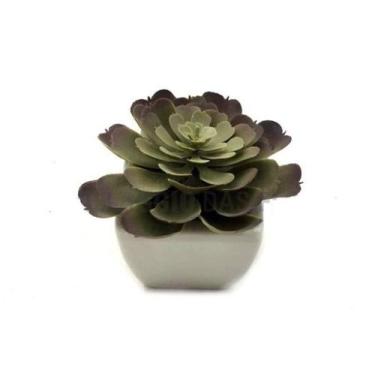 Imagem de Vaso de Cerâmica com Suculenta 10cm - Villagio das Flores - Villaggio 