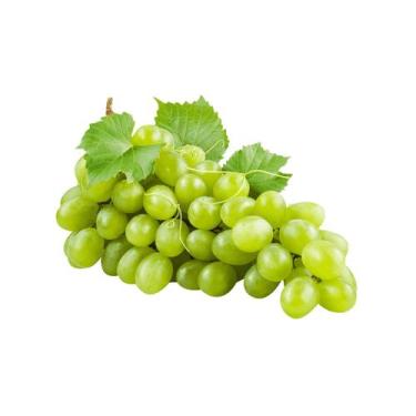 Imagem de Muda Frutífera de Uva Niágara Branca Enxertada - AgroJardim