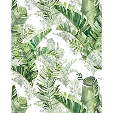Imagem de Meihodan Papel de parede autoadesivo de palmeira tropical folhas da floresta tropical papel de parede vinil verde papel de contato removível para decoração de casa 45 cm x 3 m