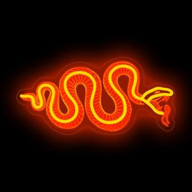 Imagem de DMDMBSR Letreiro Neon De Esqueleto Cobra, Decoração Caveira Feita À Mão Com Luz Osso Laranja, Presentes Góticos Para Amantes, 40 Cm X 19