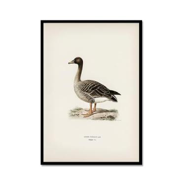 Imagem de Pôster de arte de parede vintage com estampa de pato rústica, pássaros, lago, natureza, retrô, pintura, quadros, decoração de quarto de fazenda (SKU12,20,3 x 30,5 cm = (20 x 30 cm), moldura de metal