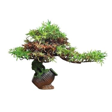 Imagem de Bonsai artificial árvore simulação árvore bonsai vegetação ornamentos interiores entrada Bocage decoração artificial vasos plantas paisagem bonsai artificial árvore bonsai