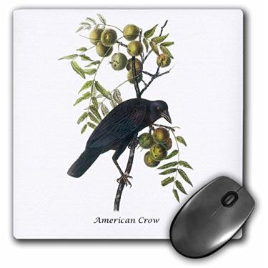 Imagem de 3Drose Mouse pad LLC 20 x 20 x 0,65 cm, American Crow de John James Audubon (Mp_114049_1)