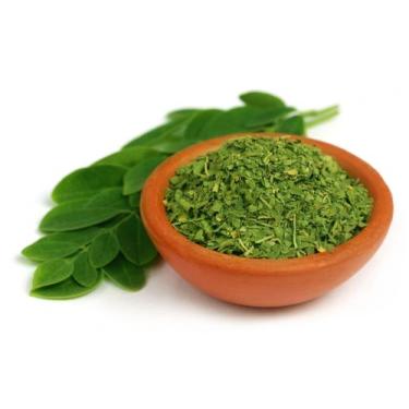 Imagem de Moringa em pó 500 G - Premium 100% pura - Brasil Natural