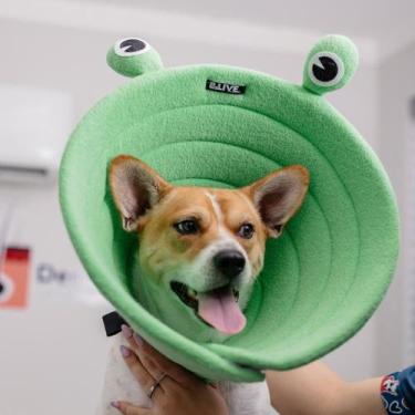 Imagem de Colar Elizabetano Cone Pet Sapo - B.live in Pets, 00