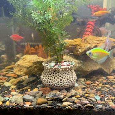 Imagem de Vaso de plantas submersas para aquário, âncora de planta subaquática, planta aquática de tanque de peixes, decoração de paisagismo de aquário, acessórios decorativos - conjunto de 2 peças (de madeira)