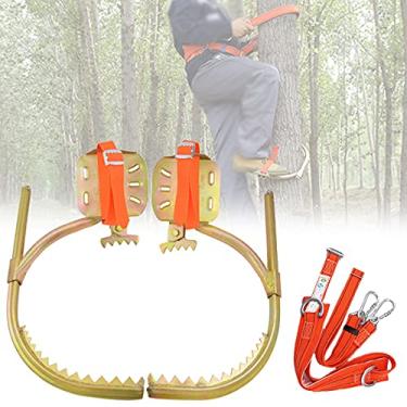 Imagem de Pregos para subir árvores, conjunto de equipamento antiderrapante para trepar árvores, fivela de pé de poste de madeira com cinto de segurança, para trabalhar em alturas, observação de caça, recolhido