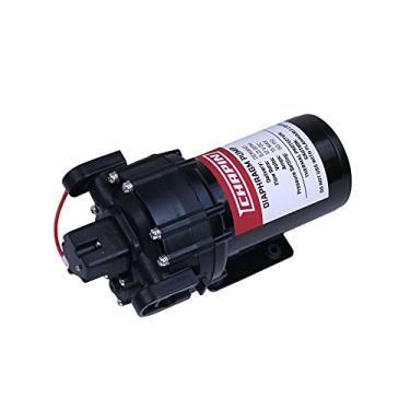 Imagem de Chapin International Bomba de diafragma 6-9216 12V/5,0 GPM, preta