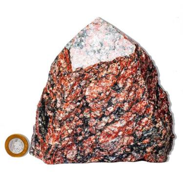 Imagem de 01 Unakita Pé e Bico Serrado 15 a 25cm 1.5 a 2kg Tipo B - CristaisdeCu