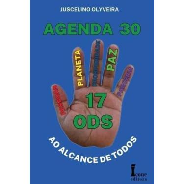 Imagem de Agenda 30 - Ao Alcance de Todos - ICONE