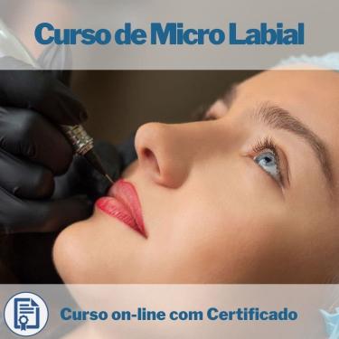 Imagem de Curso on-line de Micro Labial com Certificado