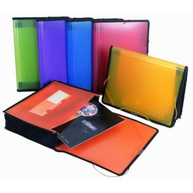 Imagem de Filexec Arquivo expansível de bolso único, carta, fecho elástico, sortido, pacote com 6 (50125-3429)